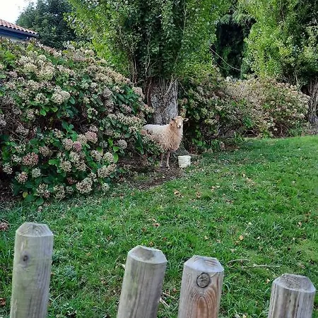 Отель Mendionde 3*